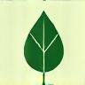 Leaf sustainability icon